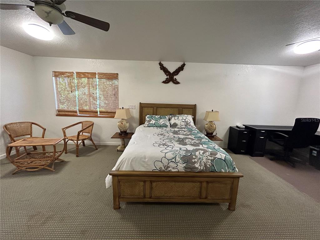 18620 Wayne Road Odessa, FL 33556 - Photo 19 of 25