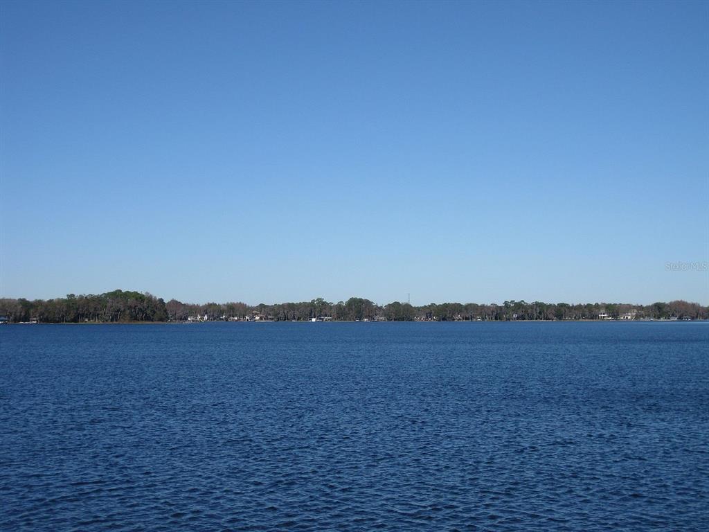 18620 Wayne Road Odessa, FL 33556 - Photo 28 of 28