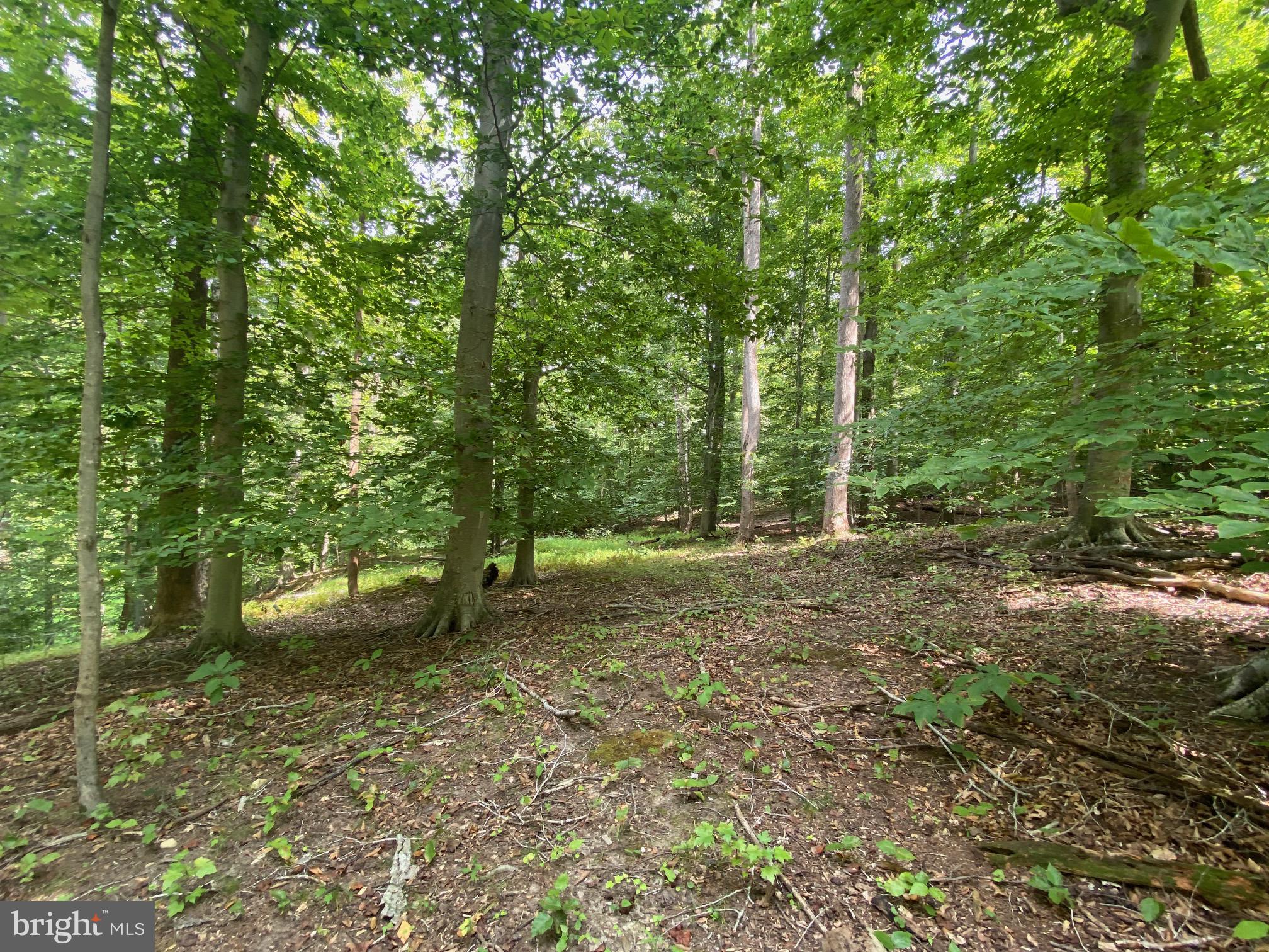 504 Holly Road Fort Washington, MD 20744 - Photo 4 of 7 Gallery Image 4