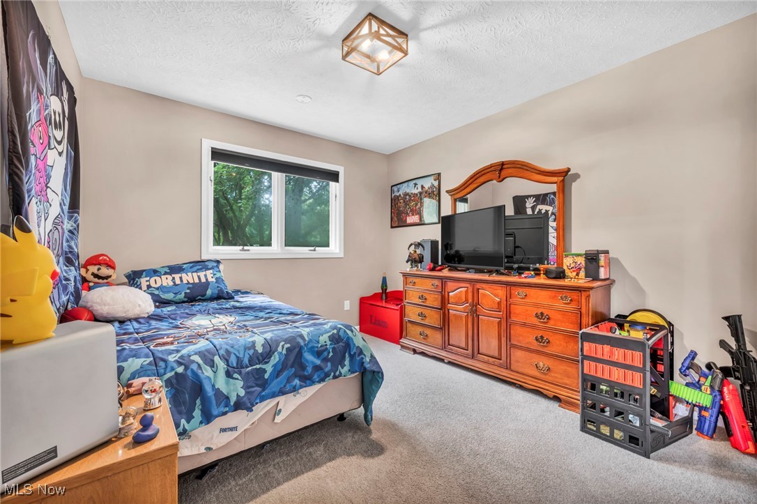 5306 Lockwood Road Madison, OH 44057 - Photo 21 of 28 Bedroom featuring a textured ceiling and carpet flooring