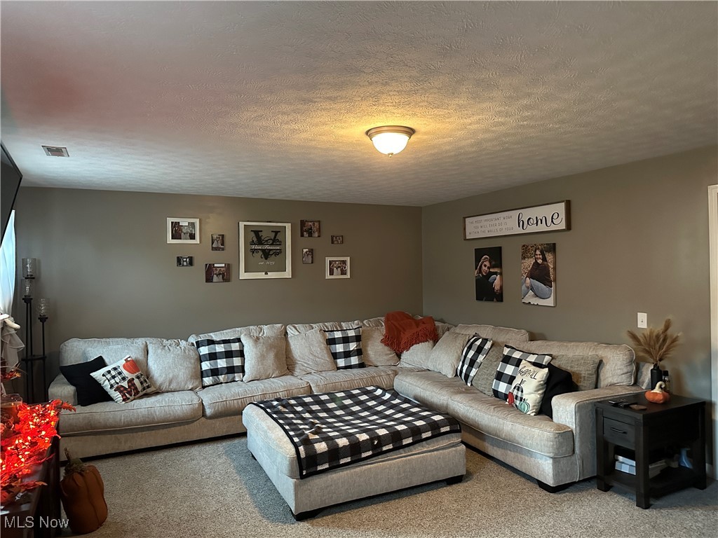 58440 Wharton Road Barnesville, OH 43713 - Photo 12 of 38 Carpeted living room featuring a textured ceiling