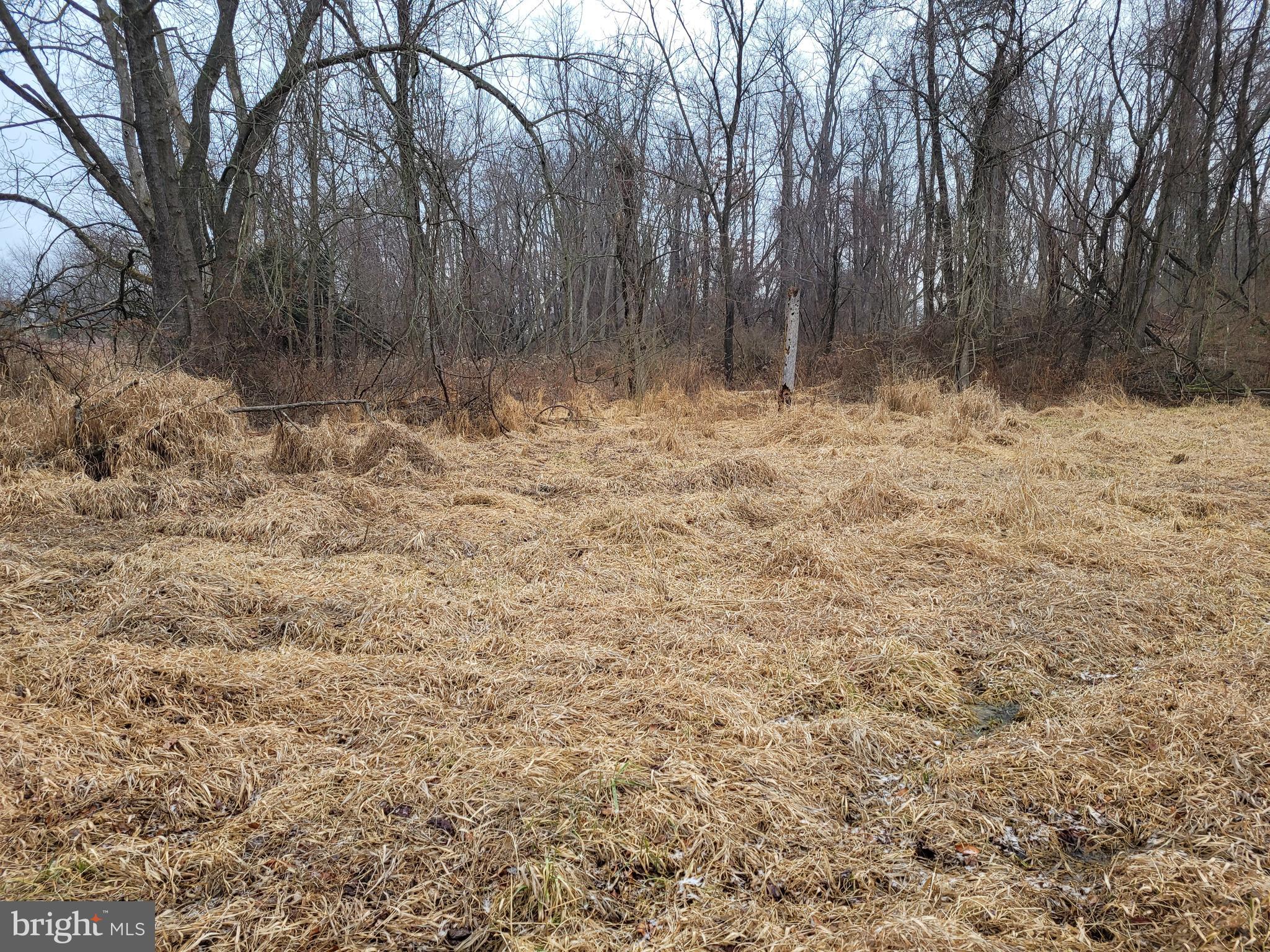 Lot 2 Sterling Road Harrisburg, PA 17112 - Photo 3 of 5 Gallery Image 3