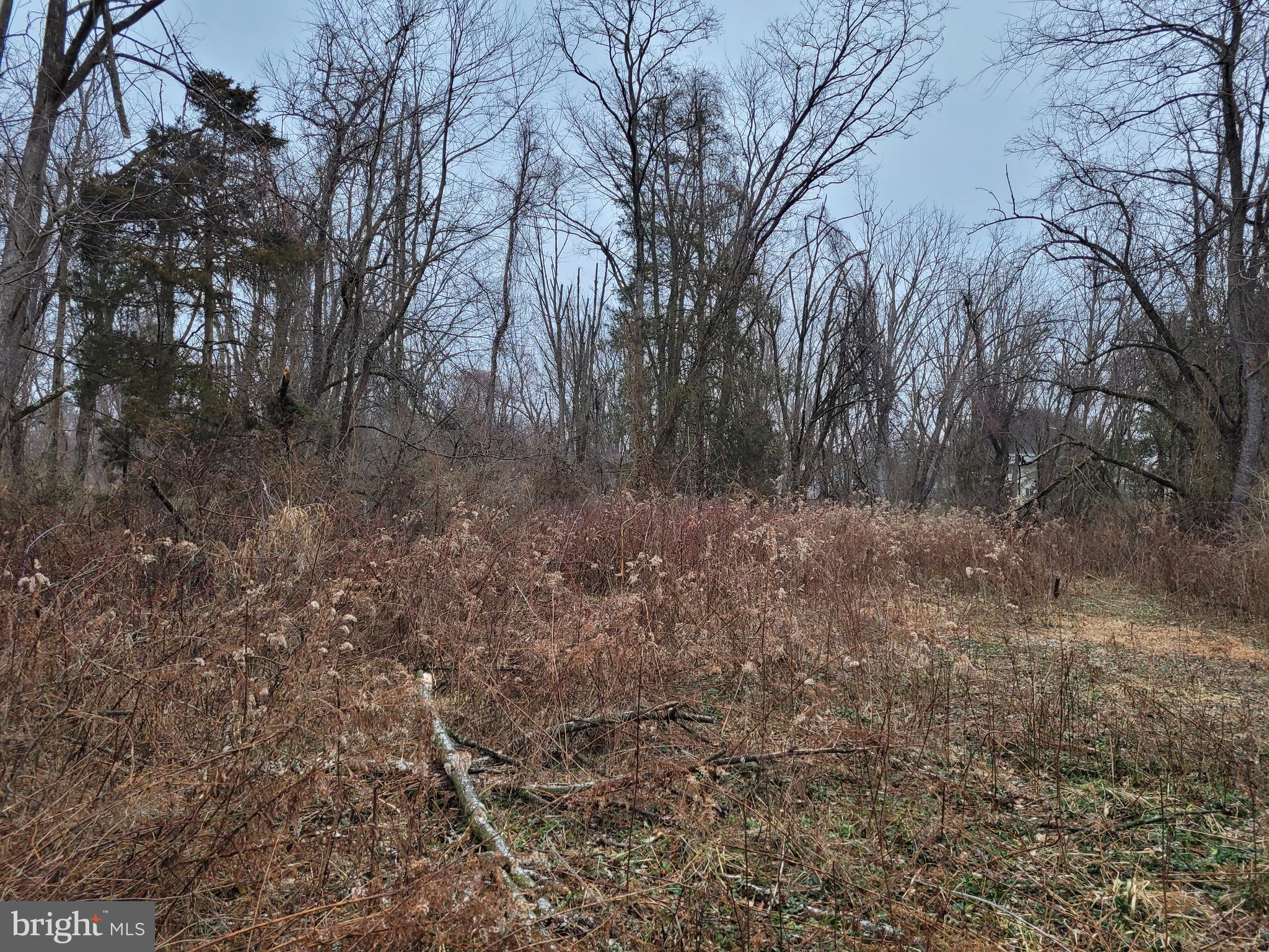 Lot 2 Sterling Road Harrisburg, PA 17112 - Photo 5 of 5 Gallery Image 5