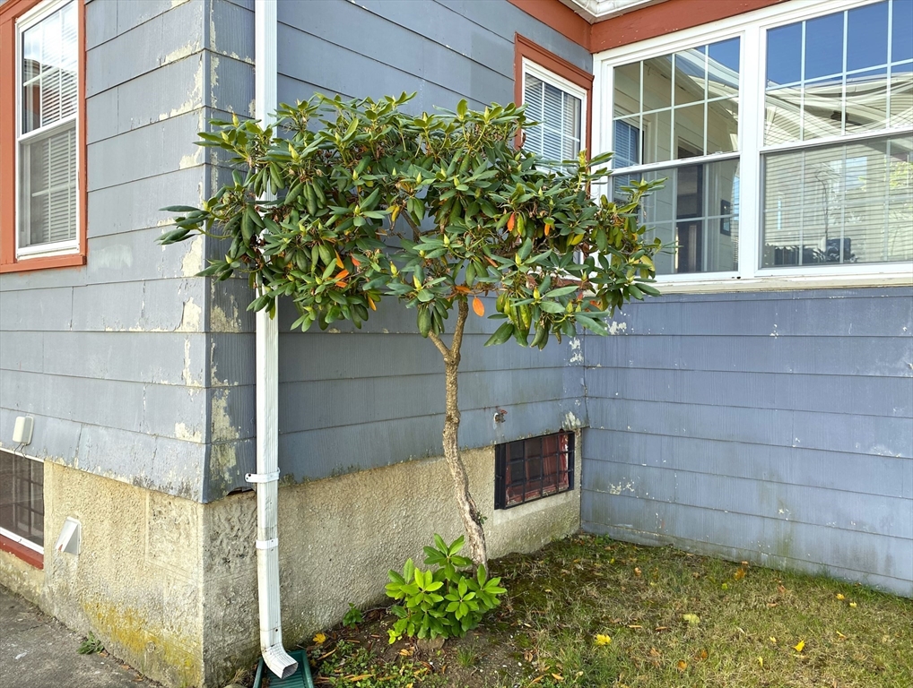 43 Conant Road Quincy, MA 02171 - Photo 2 of 42 Gallery Image 2