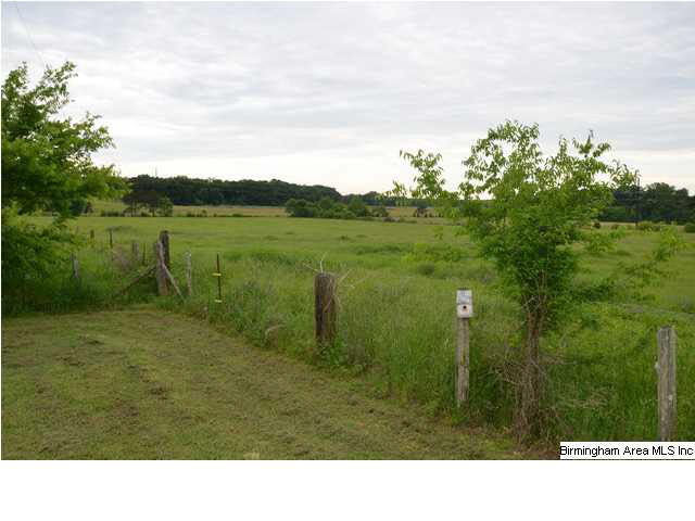 Holly Hills Road, Unit 39 Lincoln, AL 35096 - Photo 4 of 4