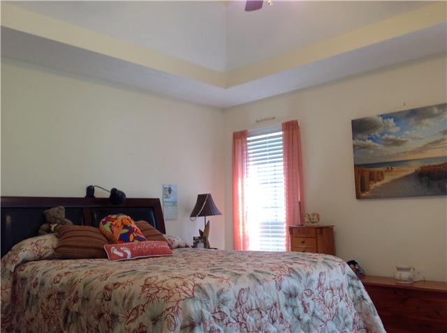 407 Berry Circle Springfield, TN 37172 - Photo 11 of 20 Master bedroom with vaulted ceiling and huge walk in closet.