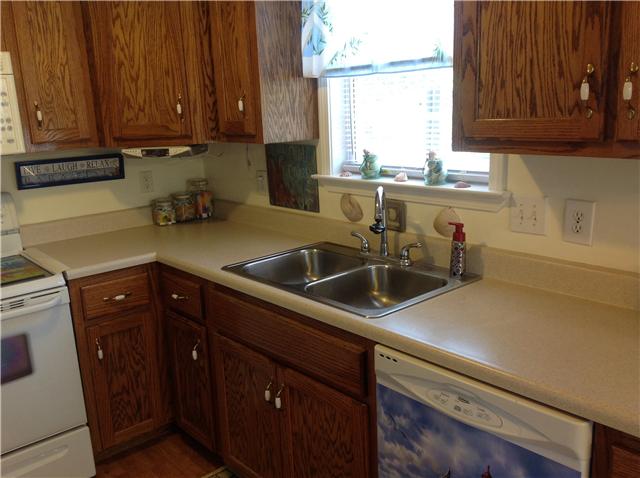 407 Berry Circle Springfield, TN 37172 - Photo 8 of 20 Sink with window!