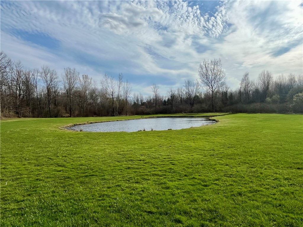 1452 State Route Sterling, NY 13156 - Photo 3 of 42 1 of 2 beautiful ponds