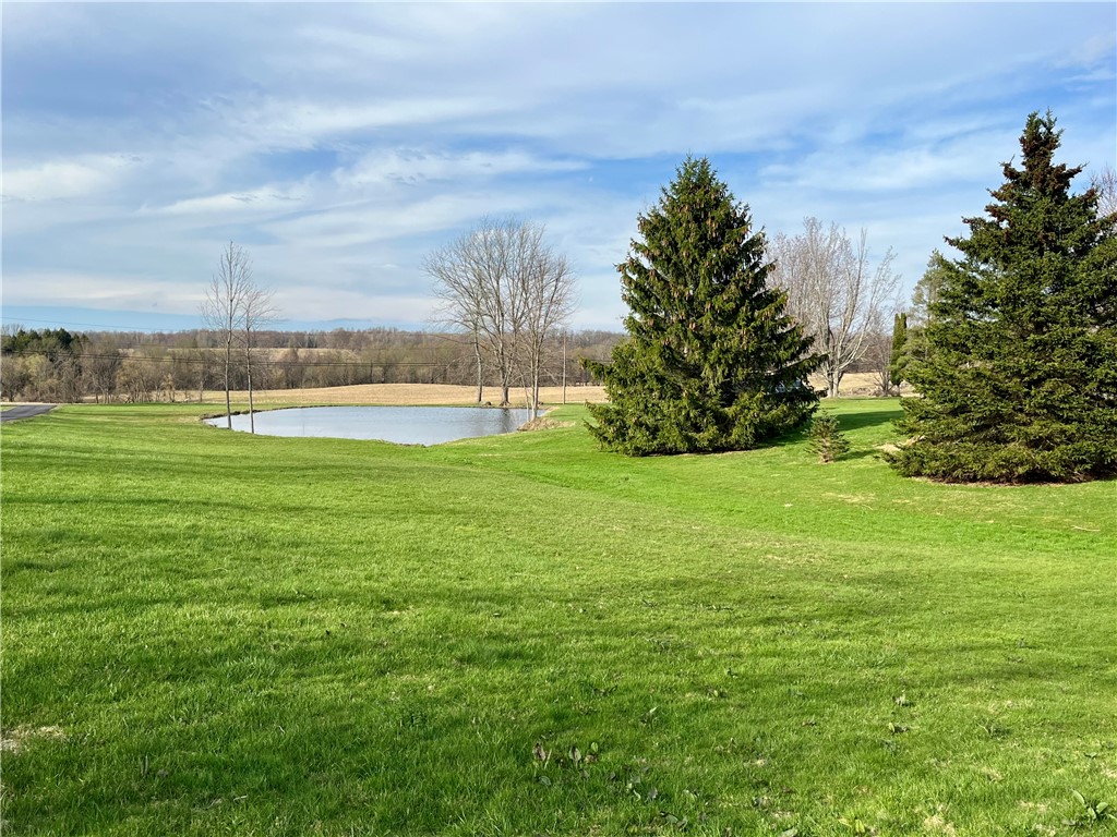 1452 State Route Sterling, NY 13156 - Photo 4 of 42 Front pond