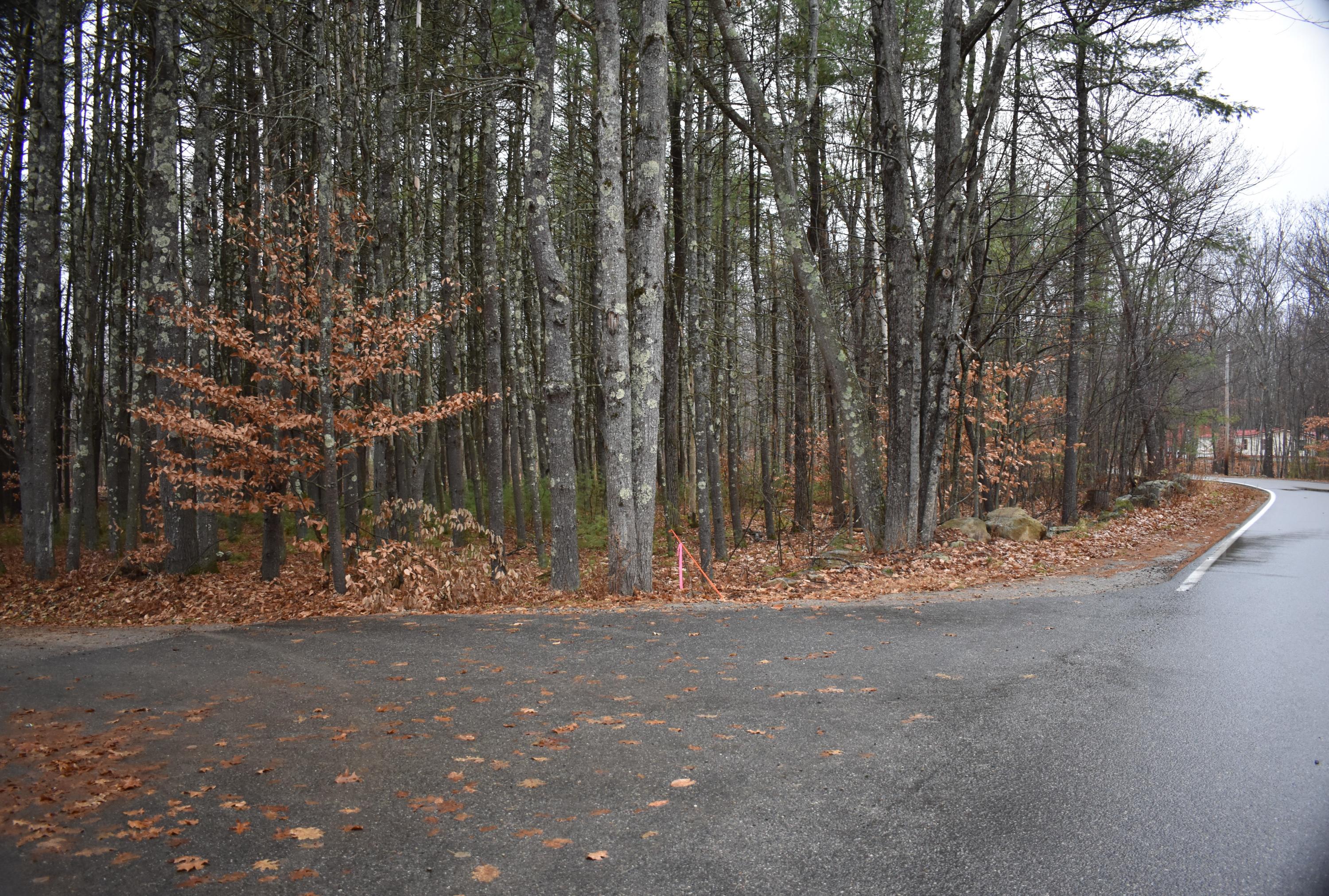 Tbd Williams Road Lyman, ME 04002 - Photo 1 of 2 Front MLS pic