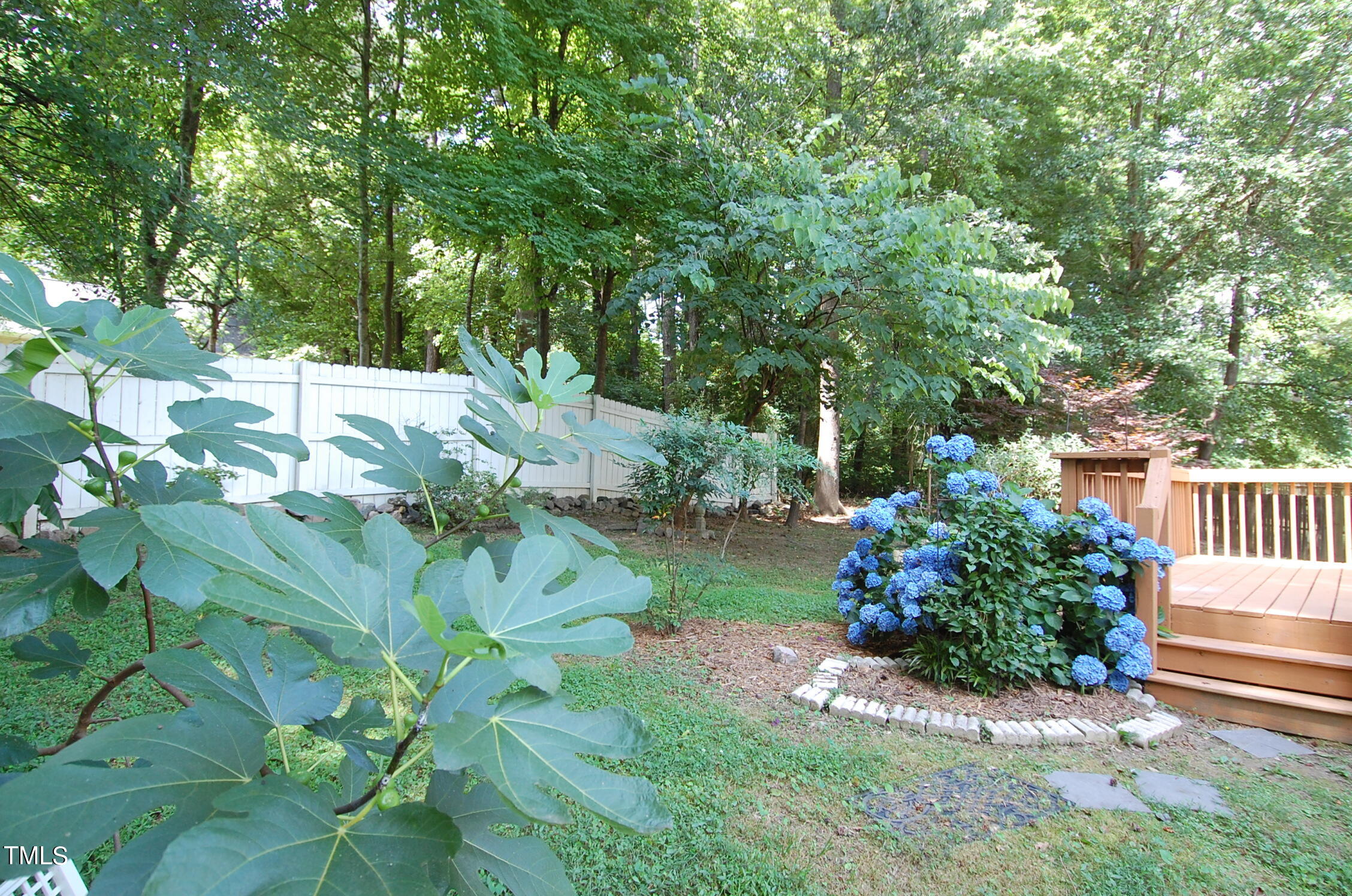 7500 Solumbra Court Raleigh, NC 27616 - Photo 22 of 27 DSC_0161