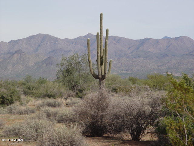 28000 North 168th Street Rio Verde, AZ 85263 - Photo 1 of 14 Build your dreams here!