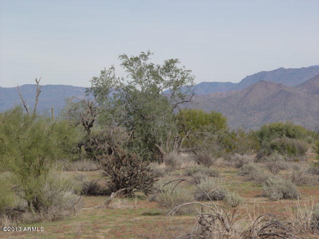 28000 North 168th Street Rio Verde, AZ 85263 - Photo 8 of 14 Room for Horses
