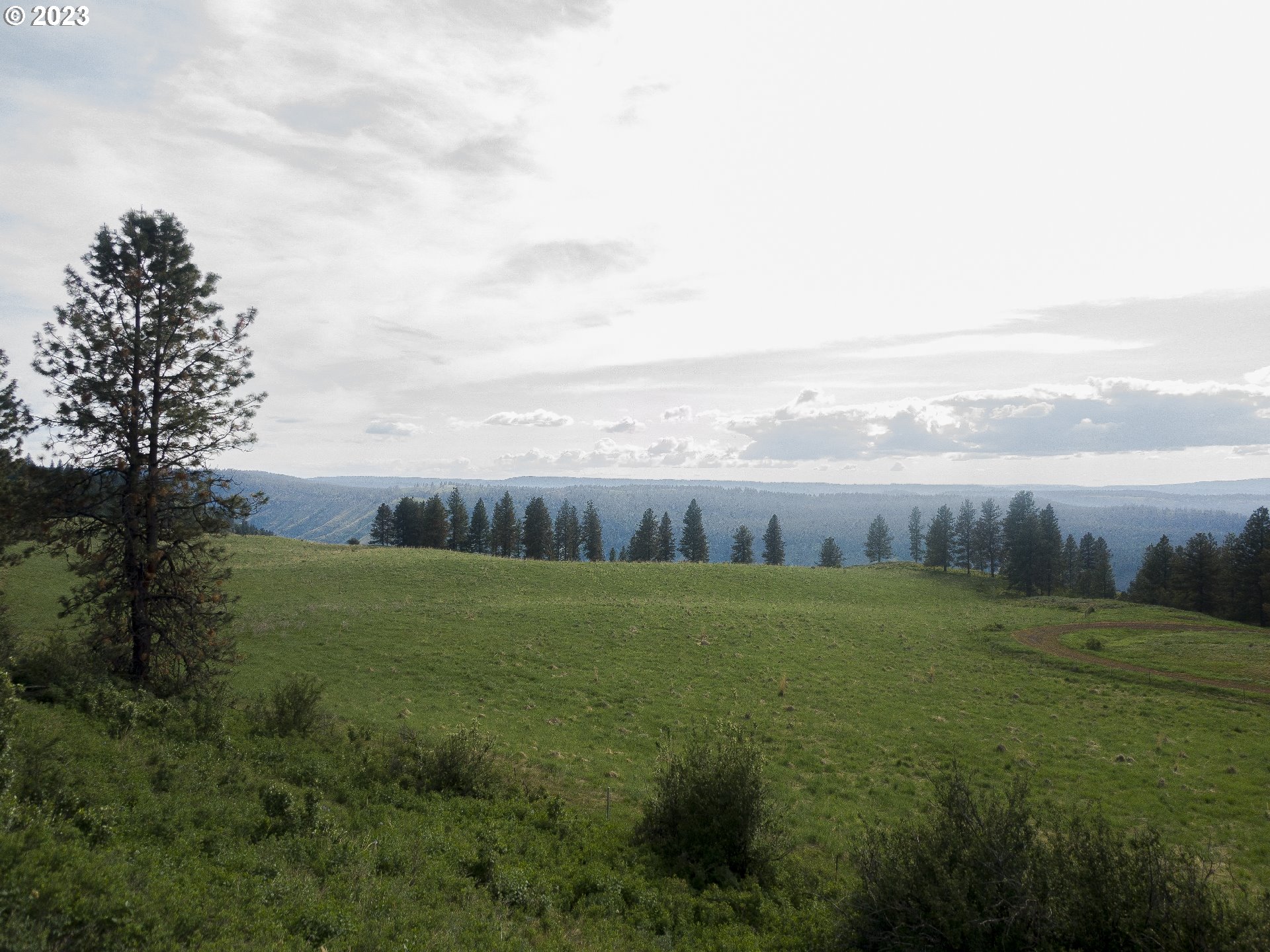 0 Day Ridge Road Enterprise, OR 97828 - Photo 12 of 24 Gallery Image 12
