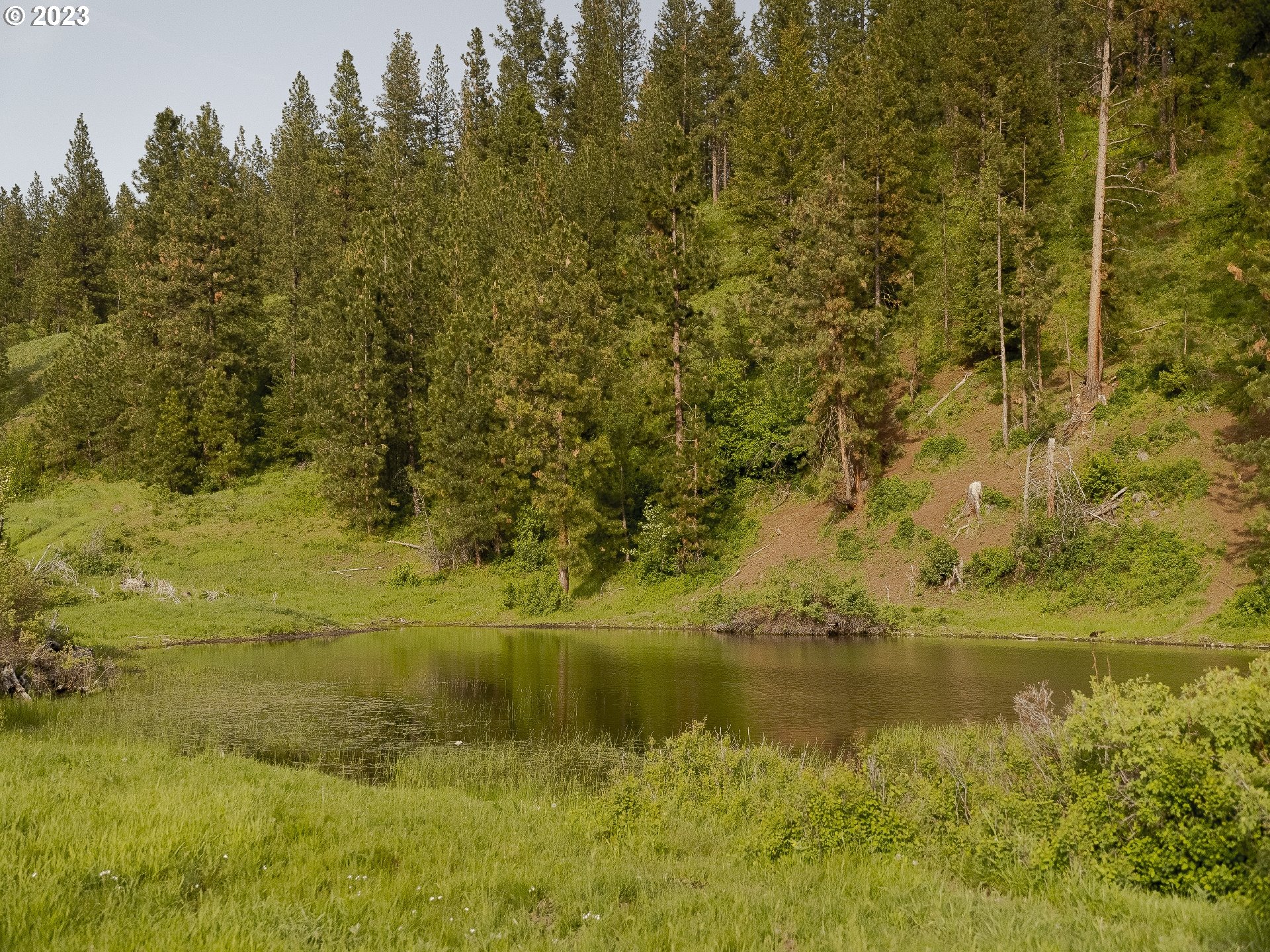 0 Day Ridge Road Enterprise, OR 97828 - Photo 13 of 24 Gallery Image 13