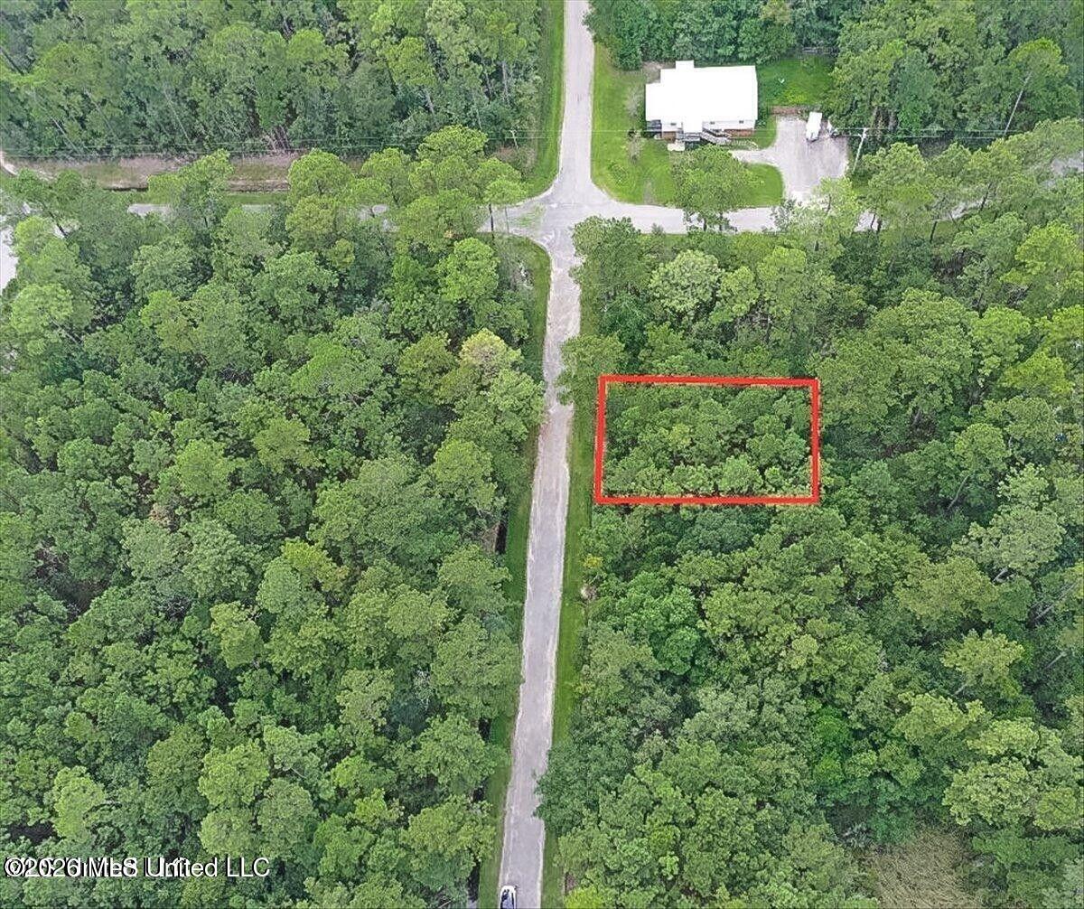 Tampa Circle Pearlington, MS 39572 - Photo 1 of 4 Ariel View