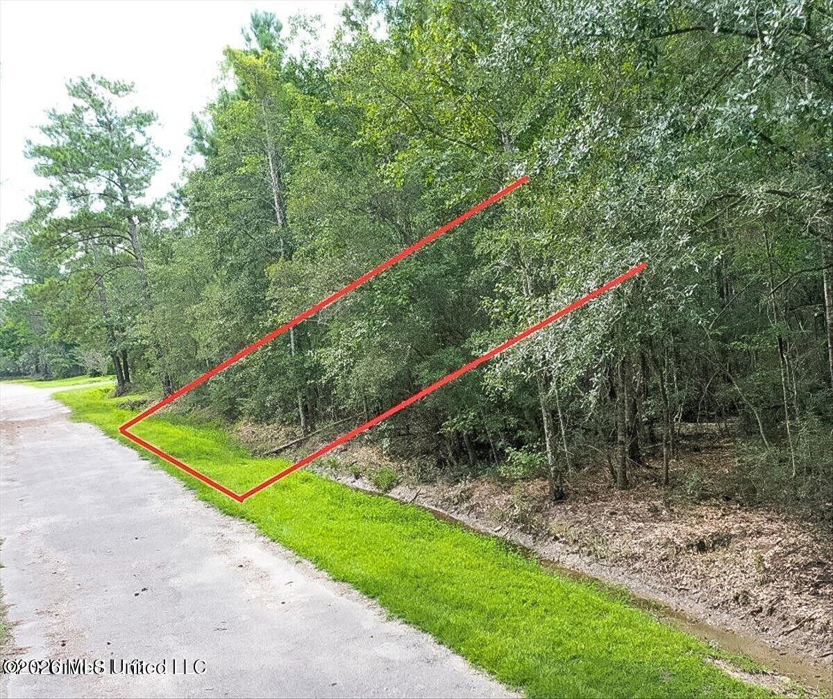 Tampa Circle Pearlington, MS 39572 - Photo 3 of 4 20250228001743241693000000-o