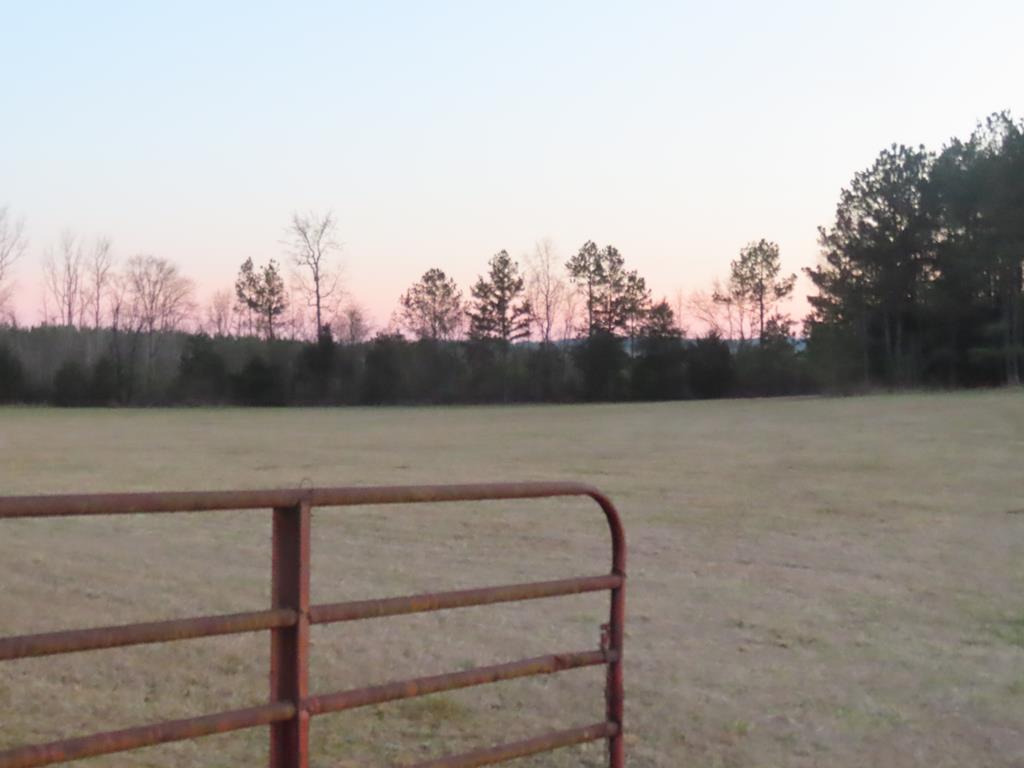 2175 Poplar Springs Road Ware Shoals, SC 29692 - Photo 1 of 23