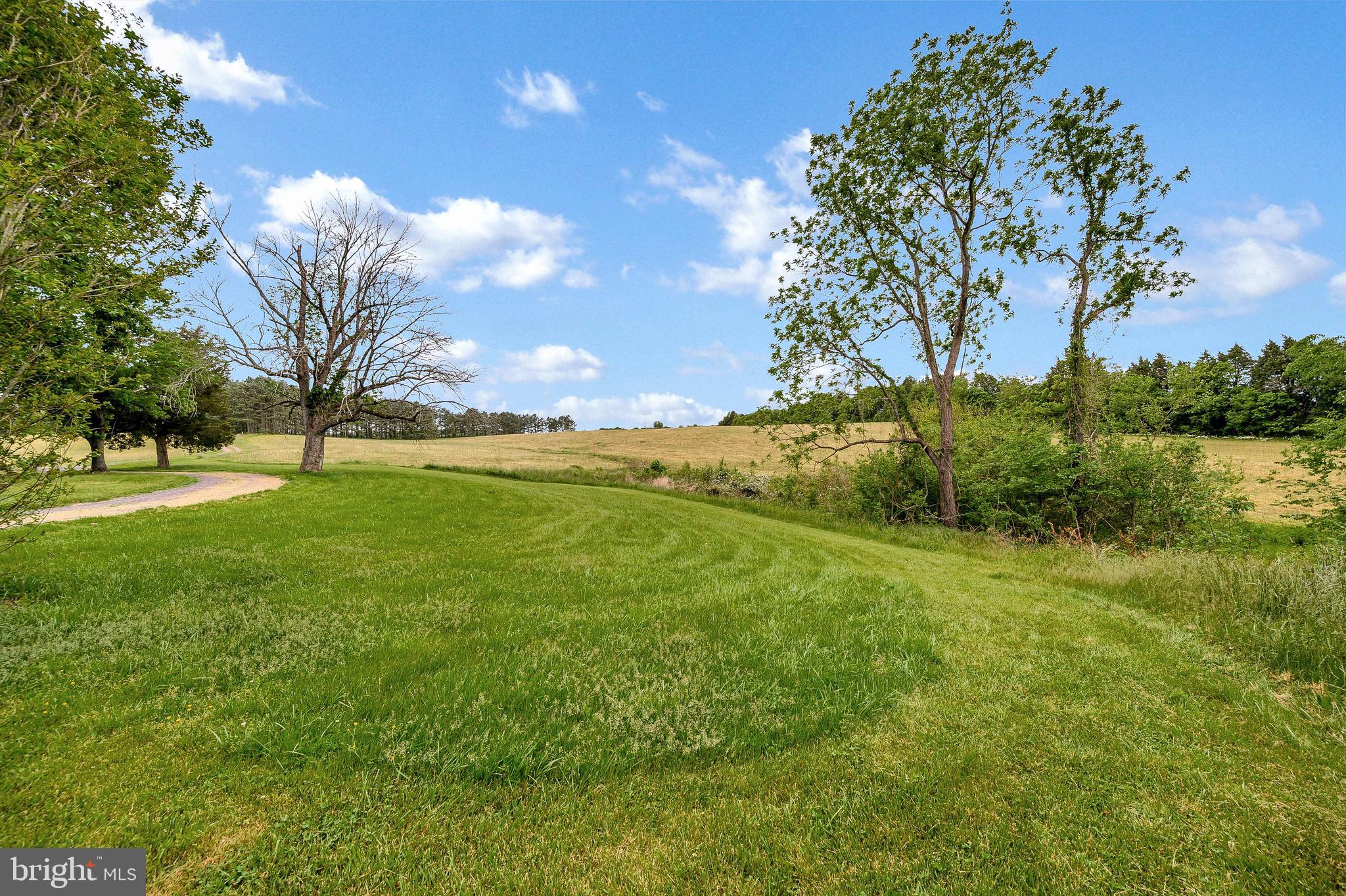16253 Marquis Road Orange, VA 22960 - Photo 43 of 56 Gallery Image 43