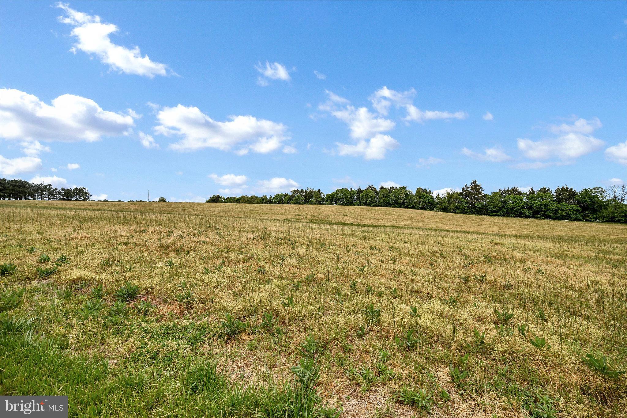 16253 Marquis Road Orange, VA 22960 - Photo 49 of 56 Enjoy the open pastures
