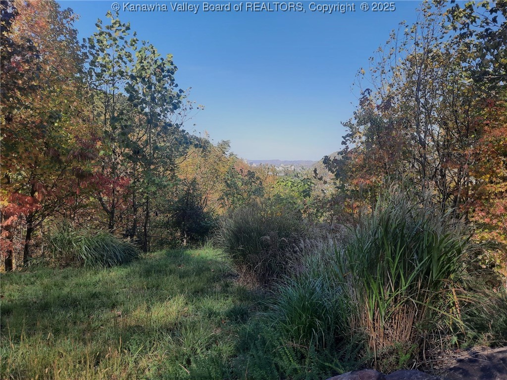 0 Chappell Road Charleston, WV 25304 - Photo 4 of 21 Gallery Image 4