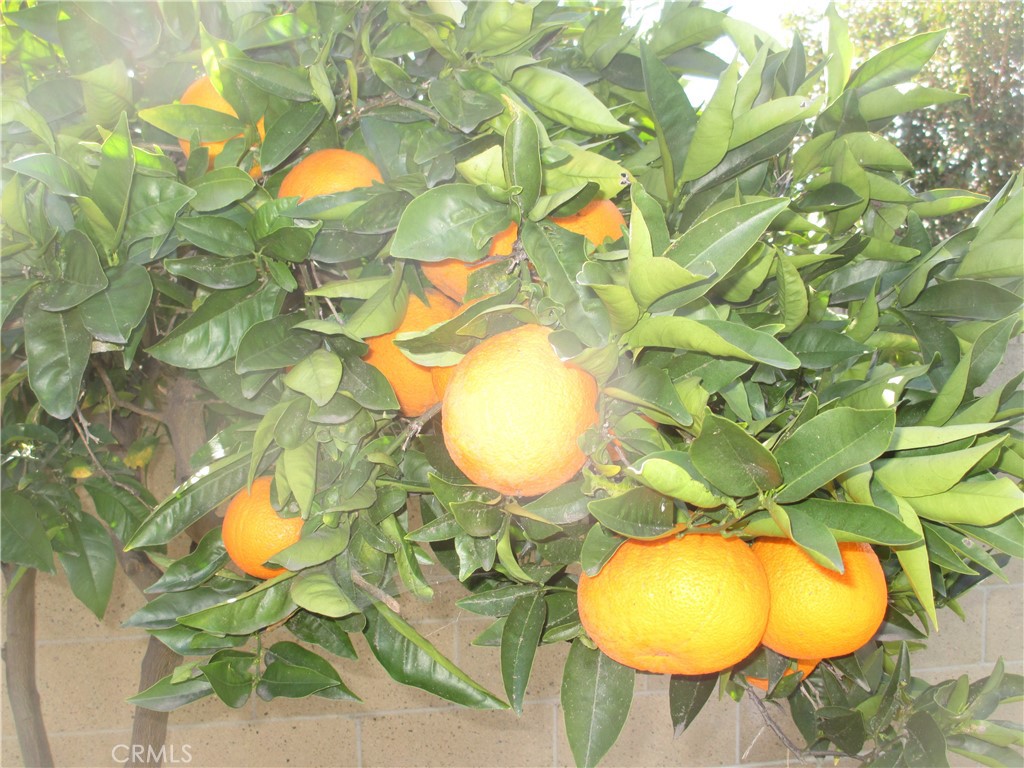 2281 Faust Avenue Long Beach, CA 90815 - Photo 8 of 41 a view of a swimming pool in he middle of the house