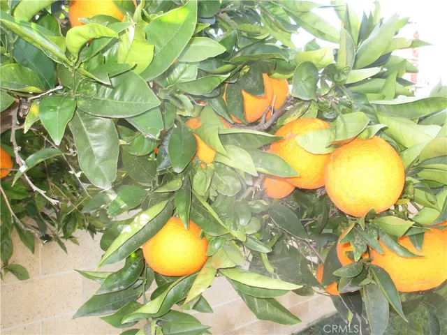 a view of a swimming pool