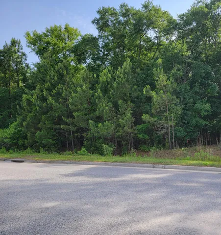 $700,000 | 0 Hamlin Road, Mount Pleasant, SC 29466