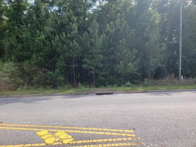 $700,000 | 0 Hamlin Road, Mount Pleasant, SC 29466