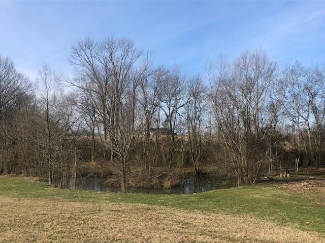 106 Country Estates Road Bell Buckle, TN 37020 - Photo 29 of 30 Gallery Image 29