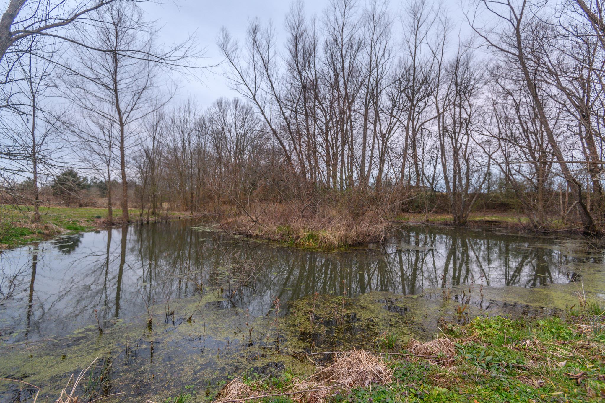 Pond ready for you to enjoy, go fishing or your horses to have..