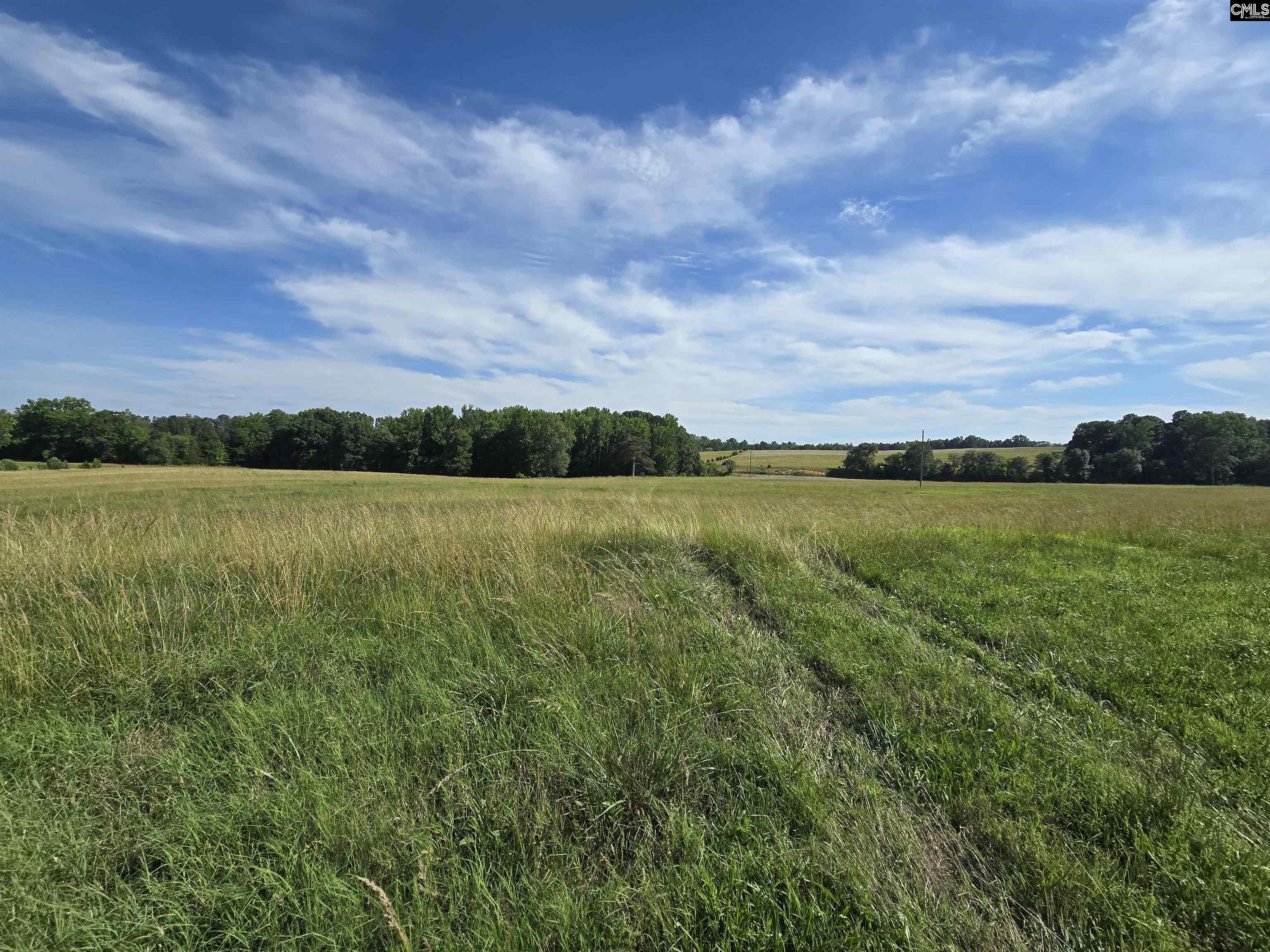 542 Pea Ridge Highway Jonesville, SC 29353 - Photo 4 of 72