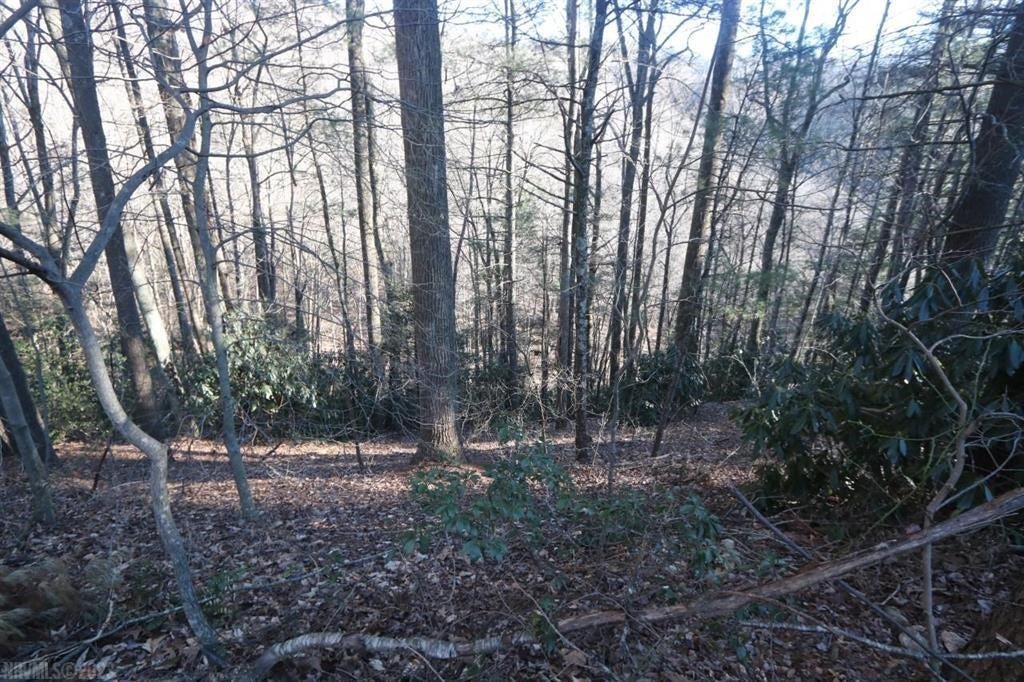 222 Newt's Hill Road, Unit 12871 Fancy Gap, VA 24328 - Photo 11 of 12 Gallery Image 11