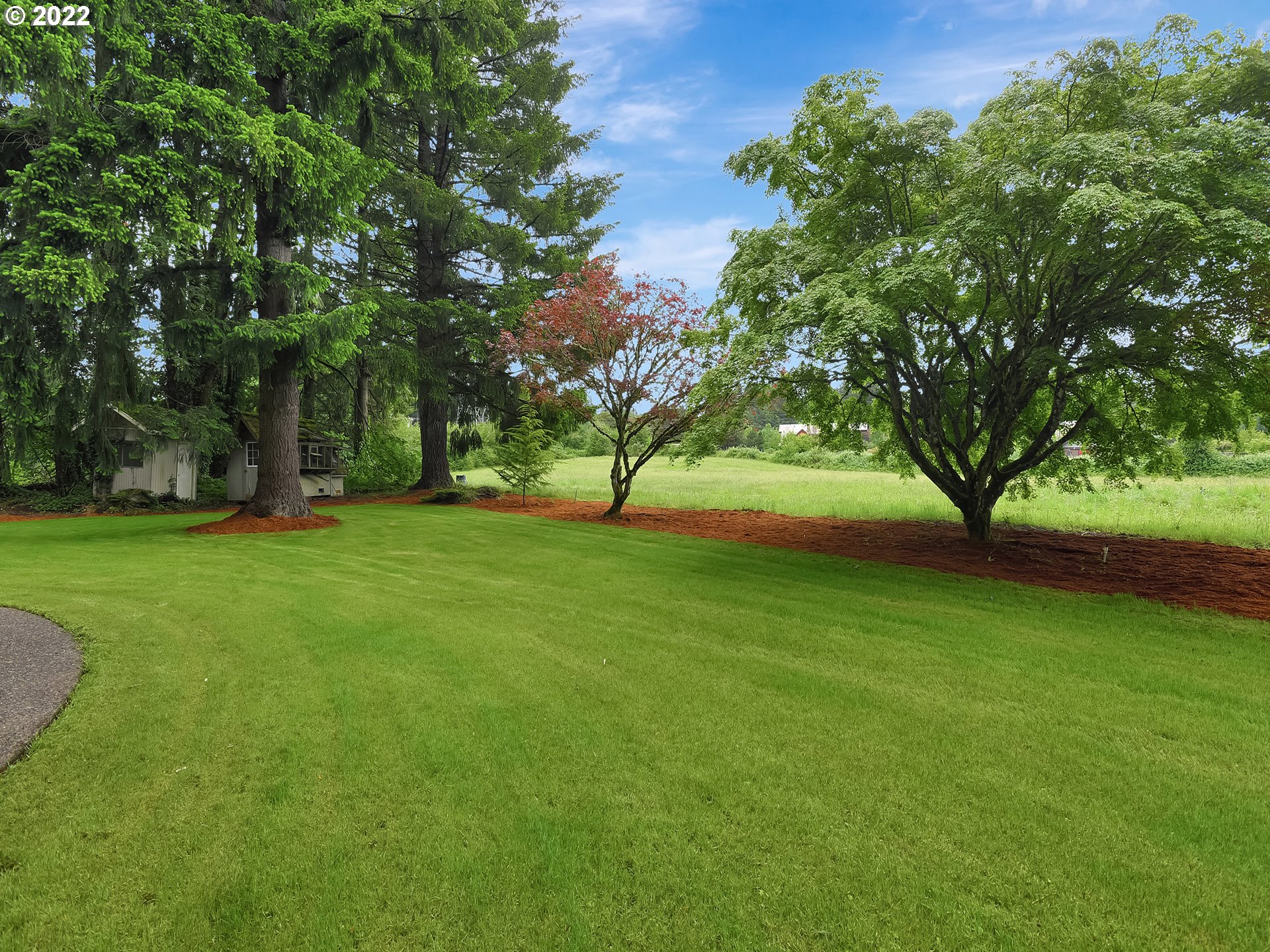 37490 Southeast Dunn Road Sandy, OR 97055 - Photo 18 of 29 a view of yard with green space and trees