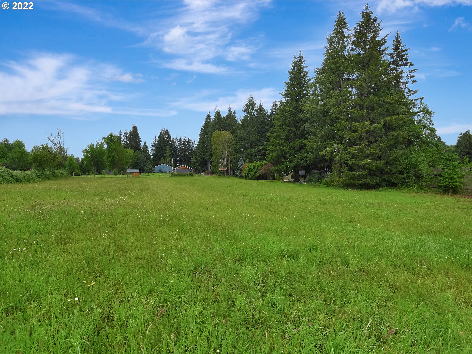 37490 Southeast Dunn Road Sandy, OR 97055 - Photo 21 of 29 a view of a green field with trees in the background