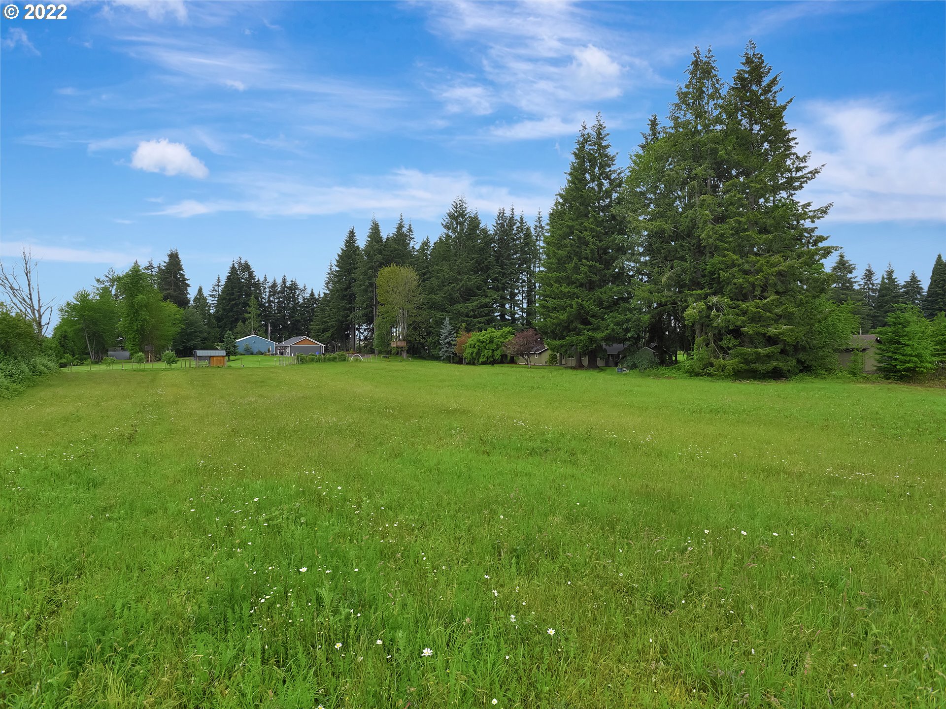 37490 Southeast Dunn Road Sandy, OR 97055 - Photo 22 of 29 a backyard of a house with lots of green space