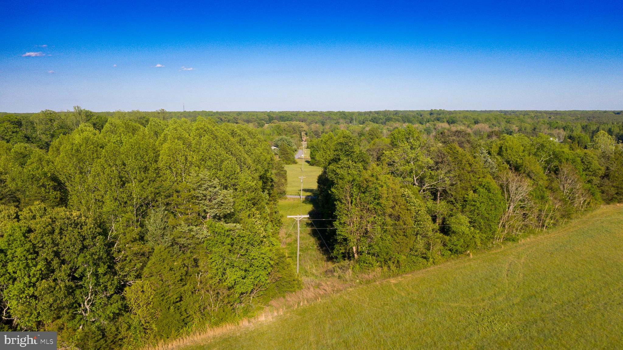 0 Trivette Road Beaverdam, VA 23015 - Photo 32 of 45