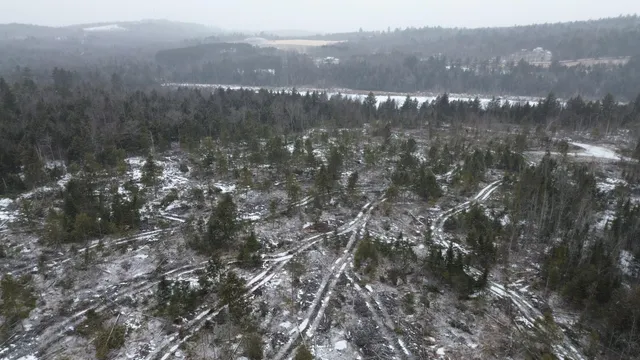 $98,900 | Lot 13 Parker Pond Road, Sebec, ME 04481