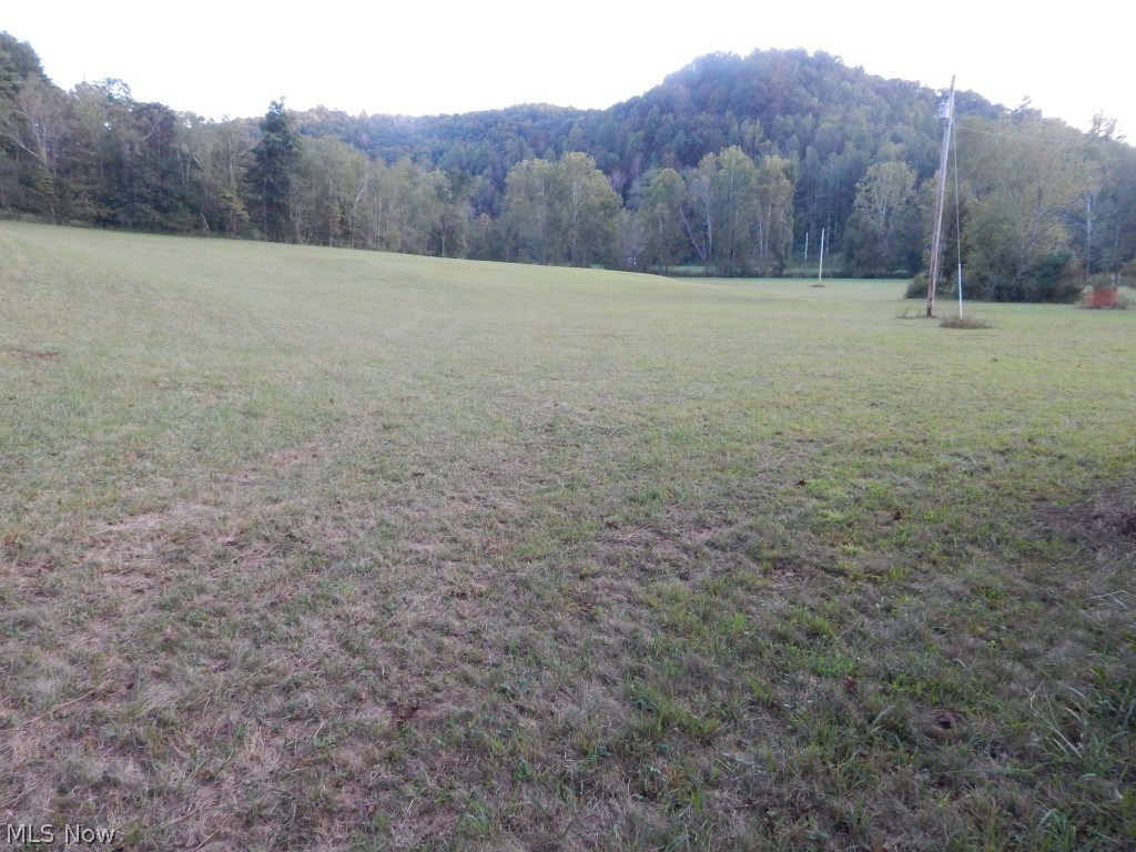 Bone Creek Road Berea, WV 26327 - Photo 5 of 18