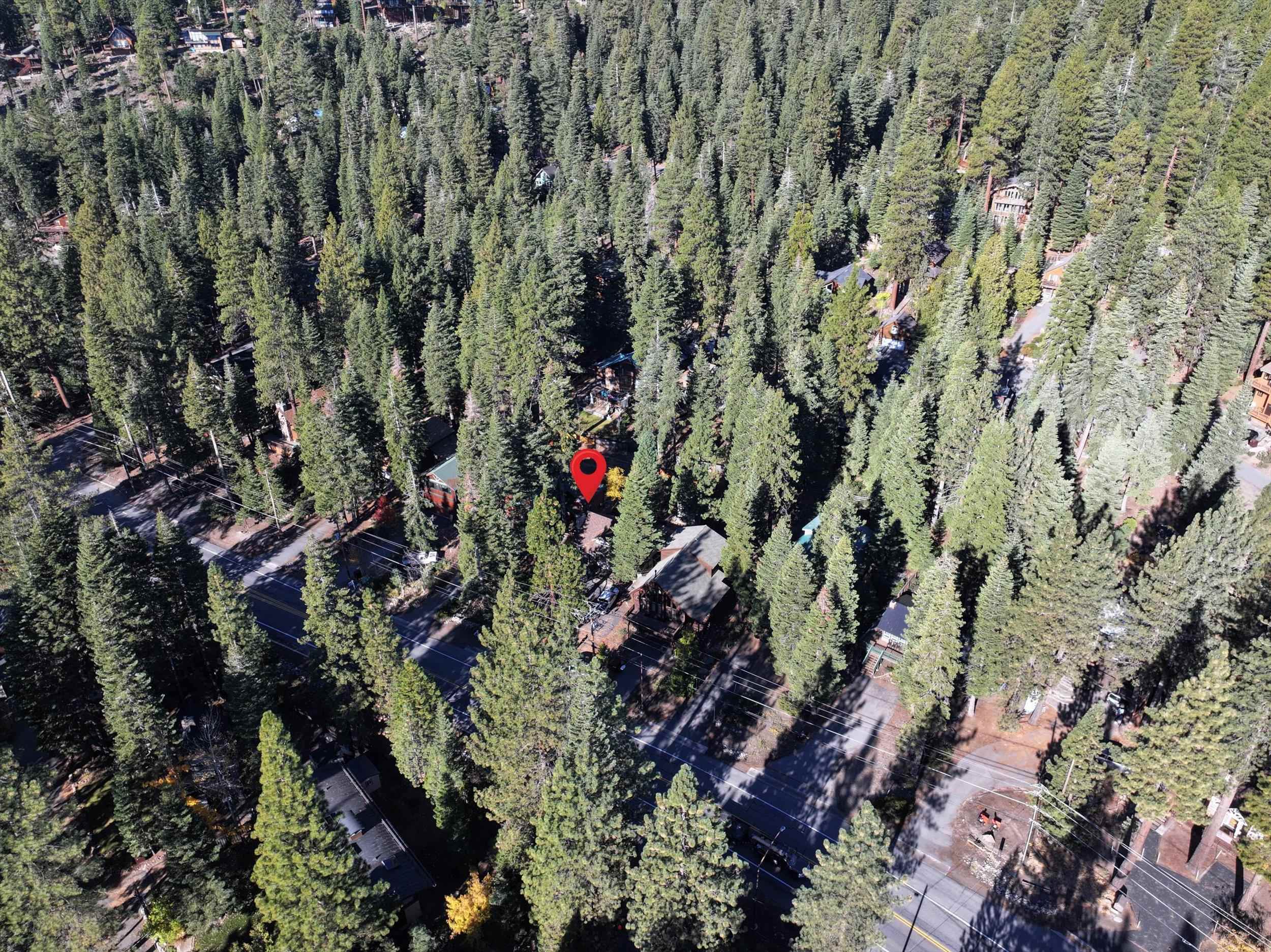 4115 North Lake Boulevard Carnelian Bay, CA 96140 - Photo 28 of 28 a view of a house with a tree