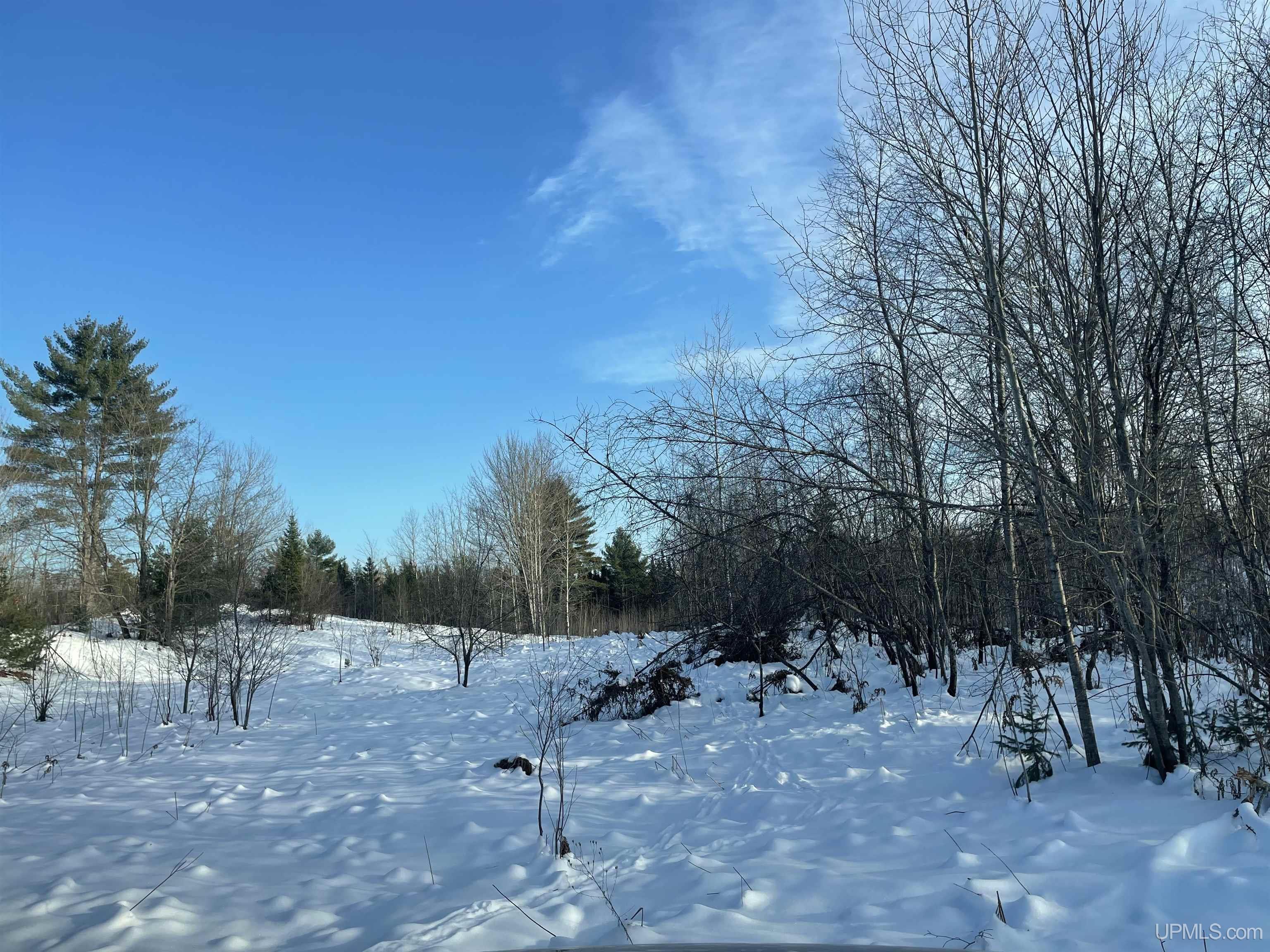 456 Rd Seney Mi 49883 Road Germfask, MI 49836 - Photo 5 of 8