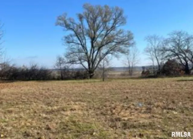 $7,500 | 502 Eagle Drive, Meredosia, IL 62665