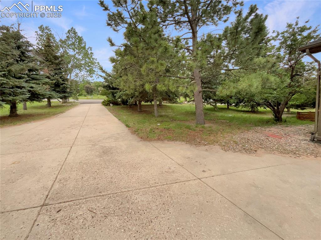 570 Ore Cart Way Monument, CO 80132 - Photo 8 of 22 a view of a road with an trees