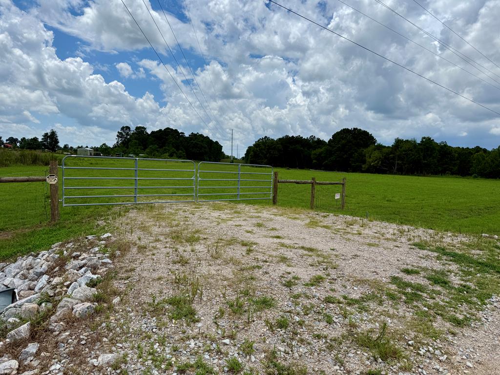 490 Bill Yance Road Webb, AL 36376 - Photo 3 of 10