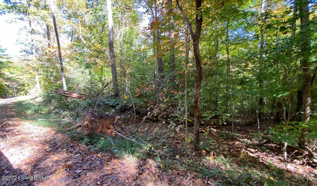 River View Fall164