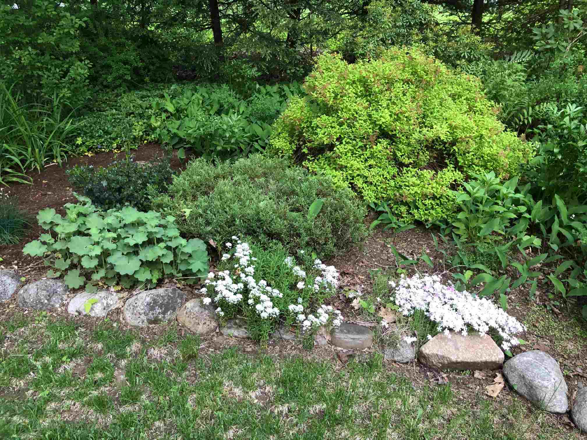 55 Greensboro Road Hanover, NH 03755 - Photo 20 of 24 Gallery Image 20
