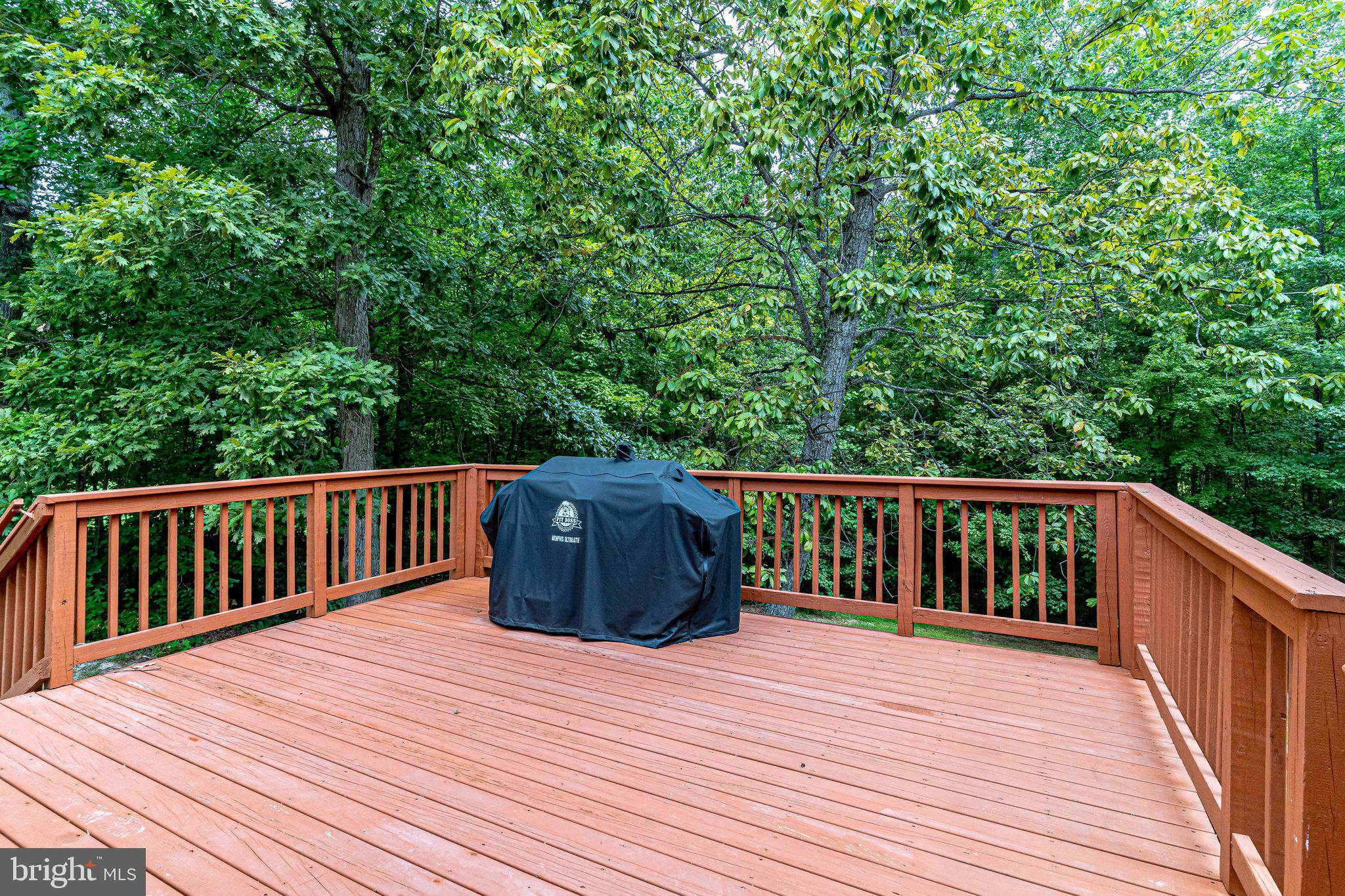 1496 Truslow Road Fredericksburg, VA 22406 - Photo 122 of 126