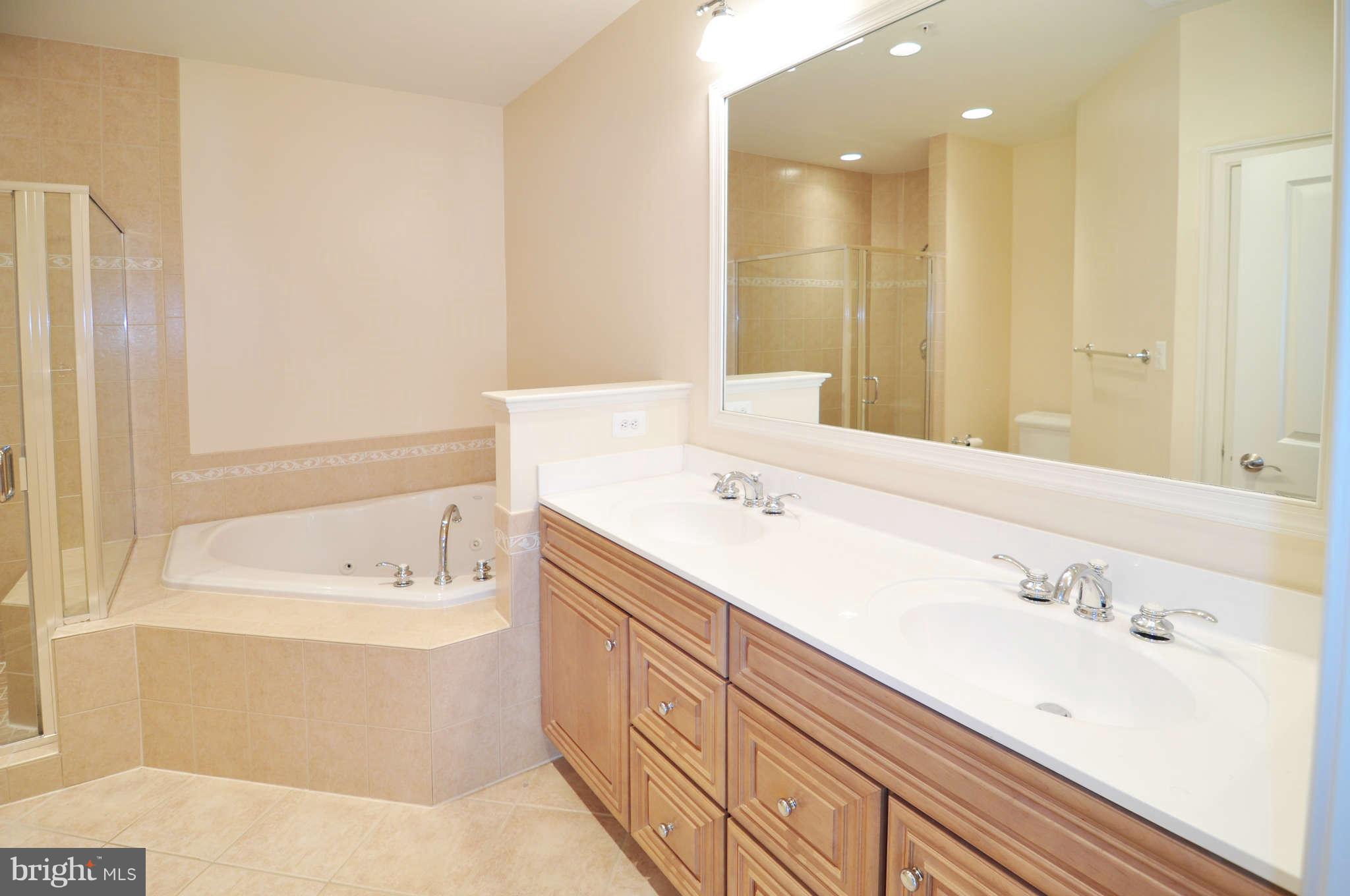 719 Carpenter Road Alexandria, VA 22314 - Photo 18 of 26 a bathroom with a tub sink and mirror