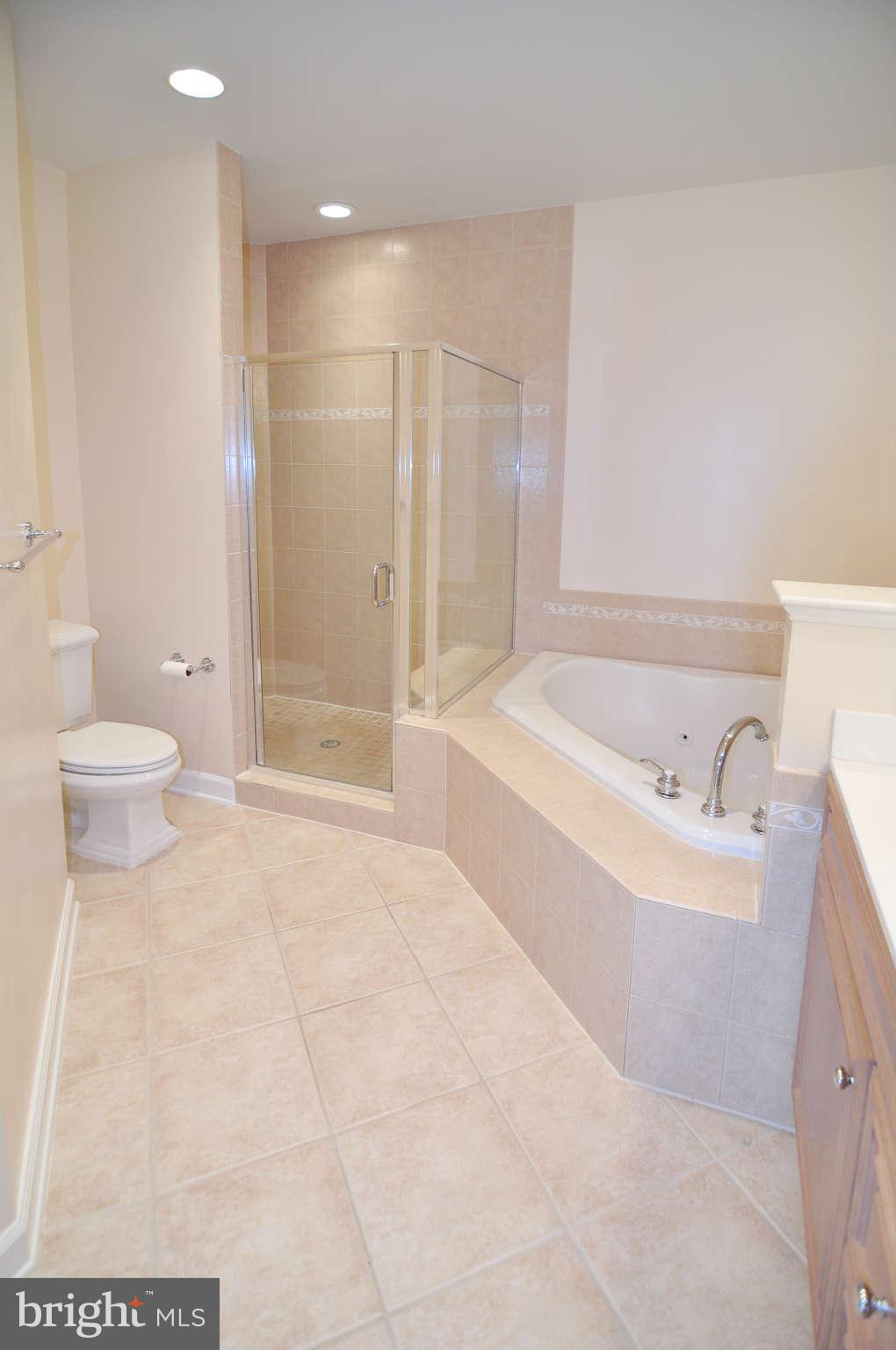 719 Carpenter Road Alexandria, VA 22314 - Photo 19 of 26 a bathroom with a bathtub and a toilet