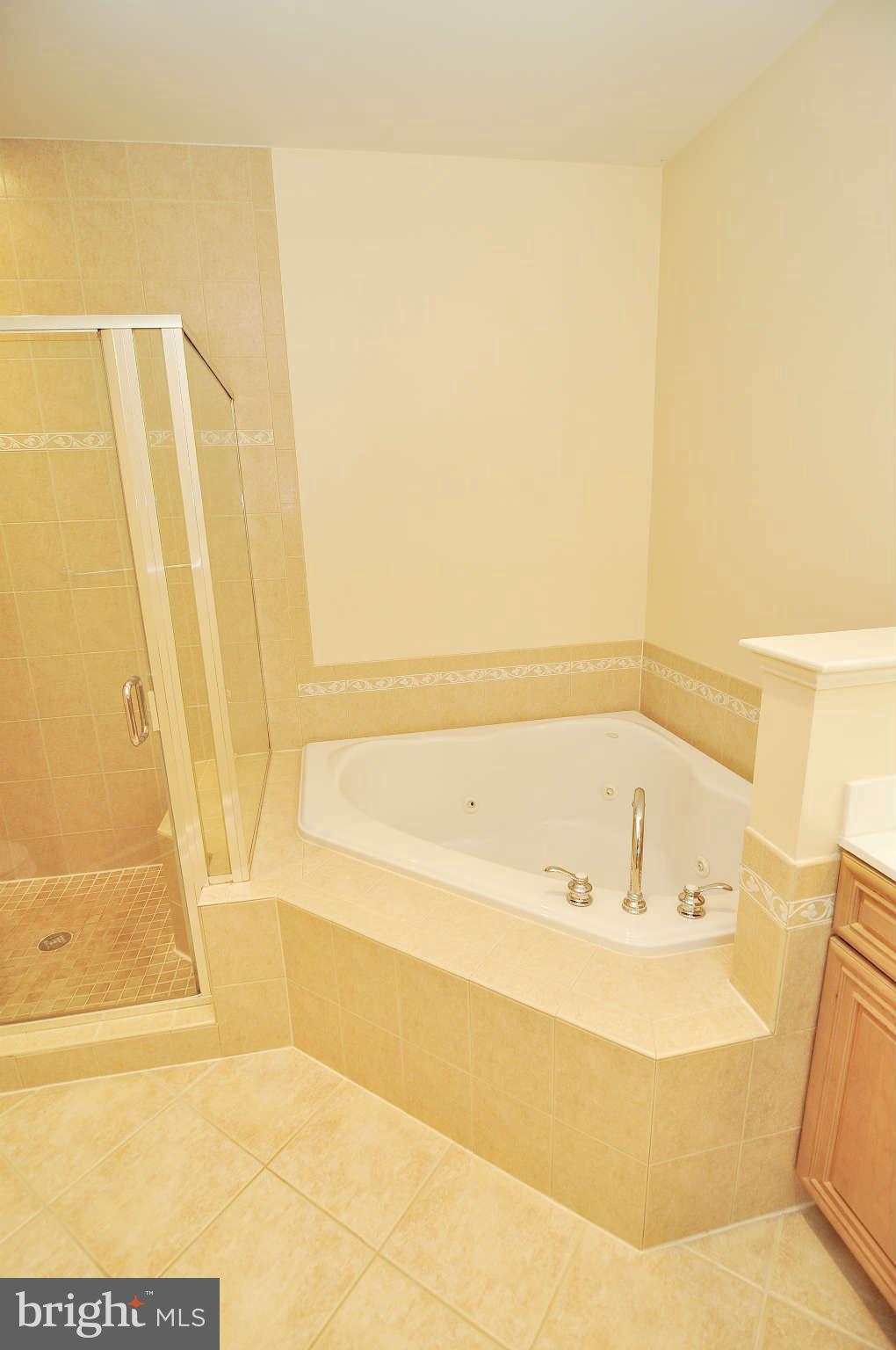 719 Carpenter Road Alexandria, VA 22314 - Photo 20 of 26 a bathroom with a bathtub